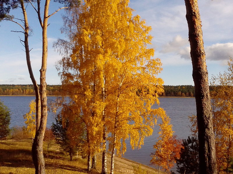IMG_20131011_132152.jpg