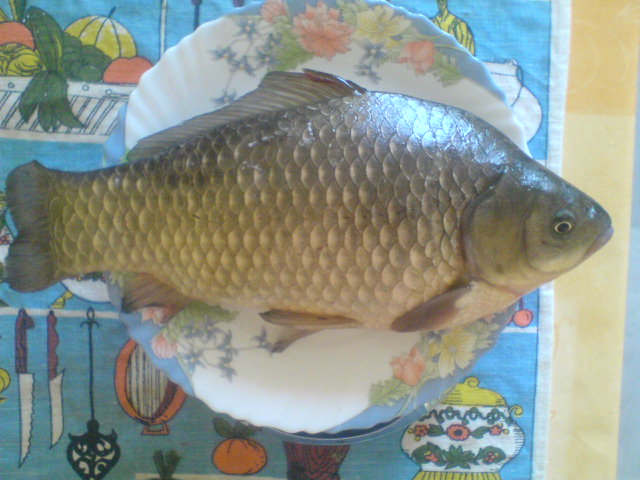 DSC00010.JPG