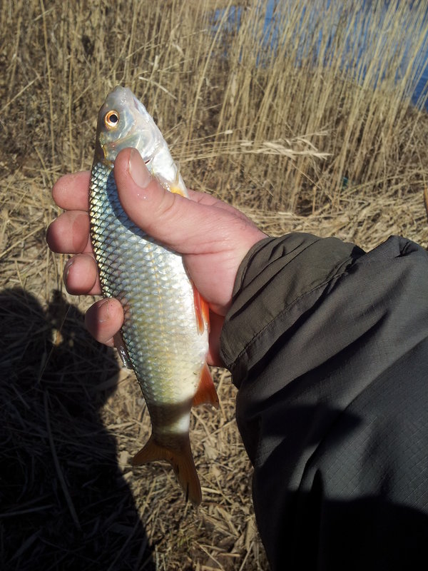 20140405_121711.jpg