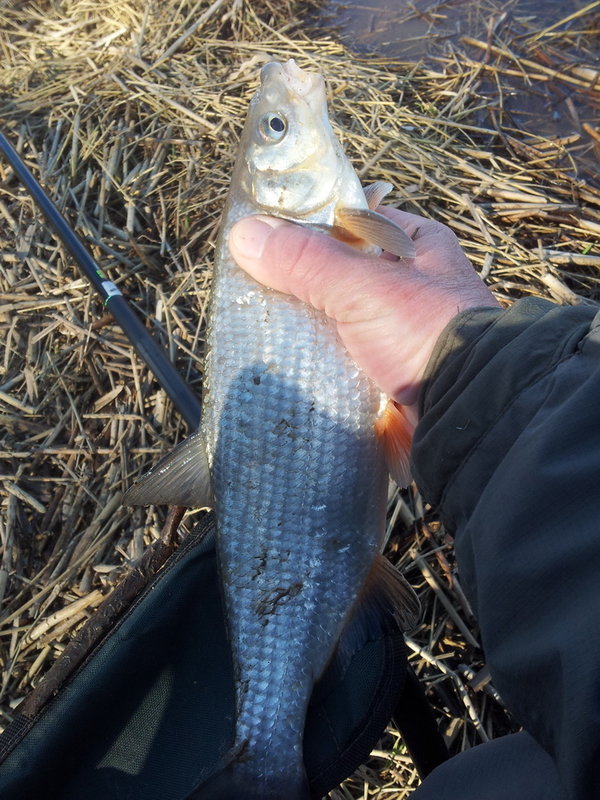 20140416_110605.jpg