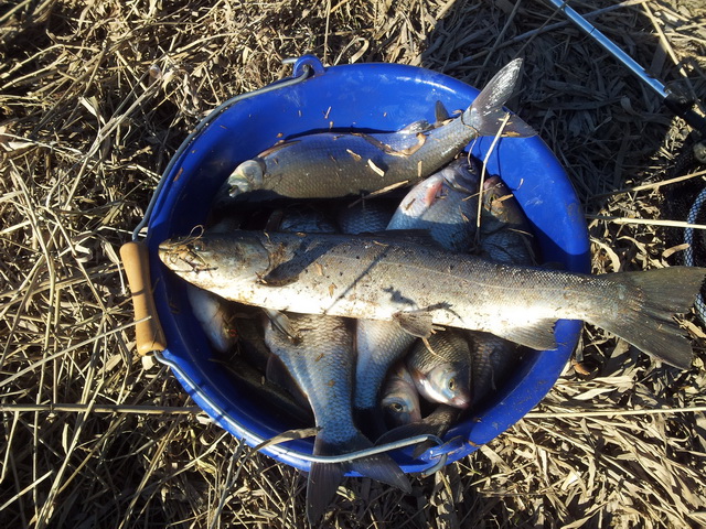 20140416_175233.jpg