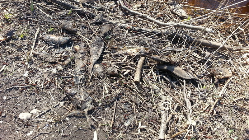 20140416_145753.jpg