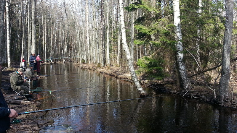 20140417_125822.jpg
