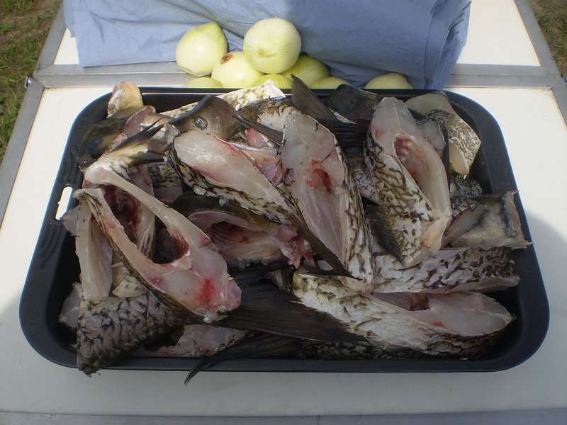 крупные куски.jpg