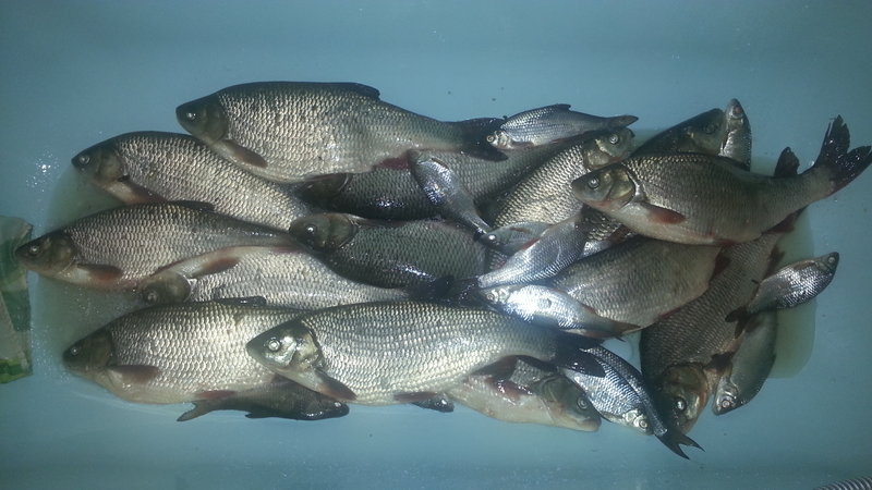20140417_213622.jpg