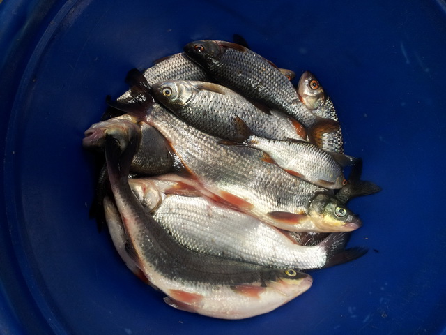 20140426_183650.jpg