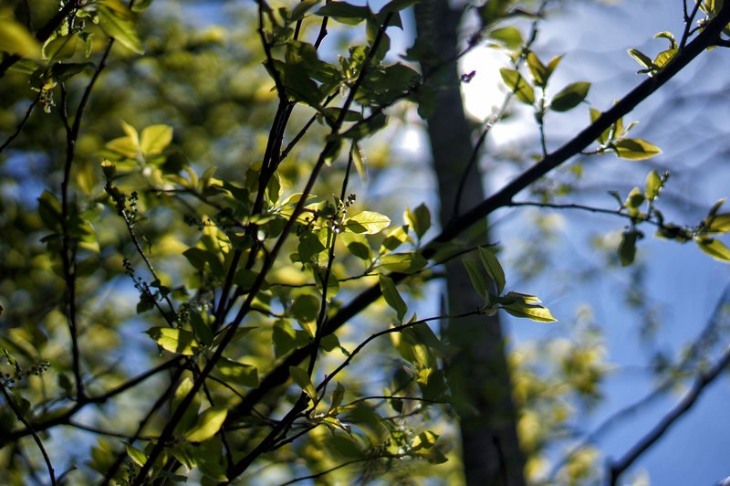 DSC09762.JPG