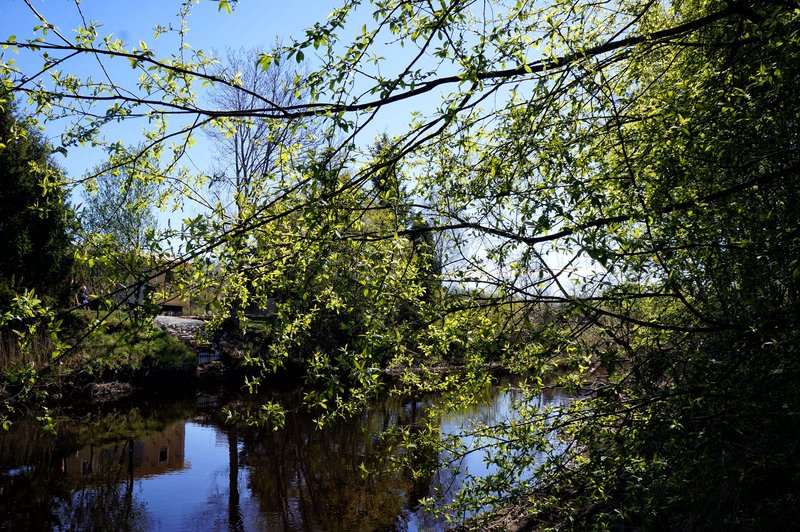 DSC09747.JPG