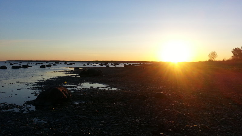 20140503_054735.jpg