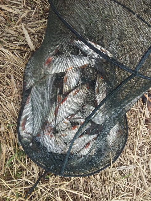 20140503_140129.jpg