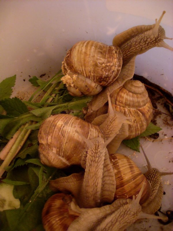 SL381107.JPG