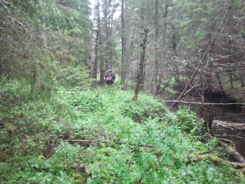 2014-06-07 09.37.14.jpg