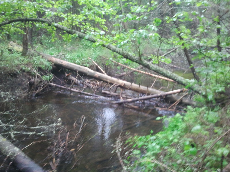 2014-06-07 09.37.21.jpg