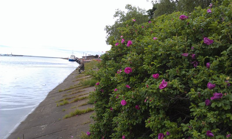 IMAG0015.jpg