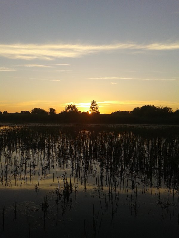 2014-07-06 04-31-42.JPG