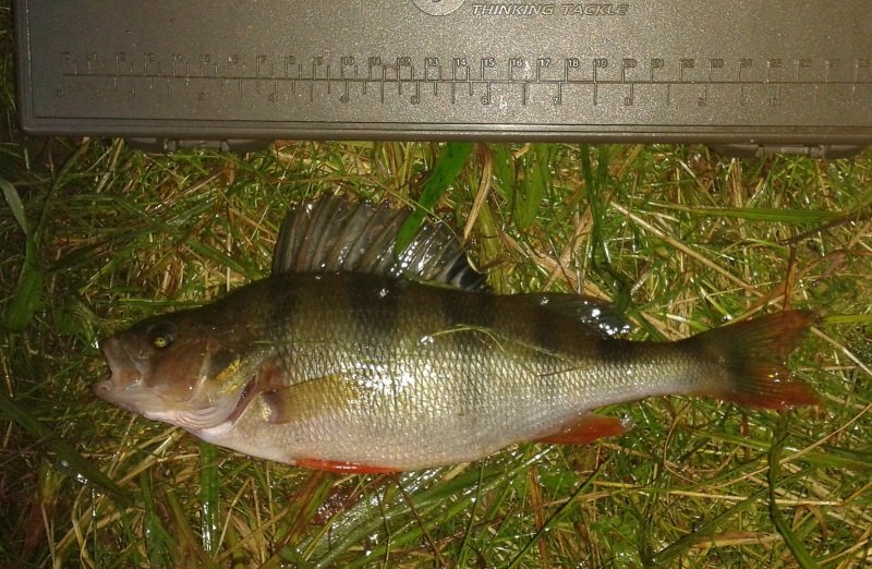 20140707_223151.jpg
