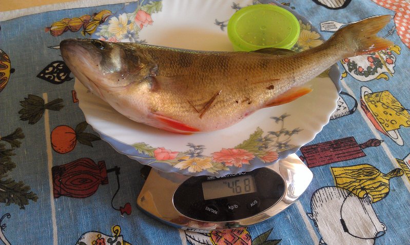 IMAG0079.jpg