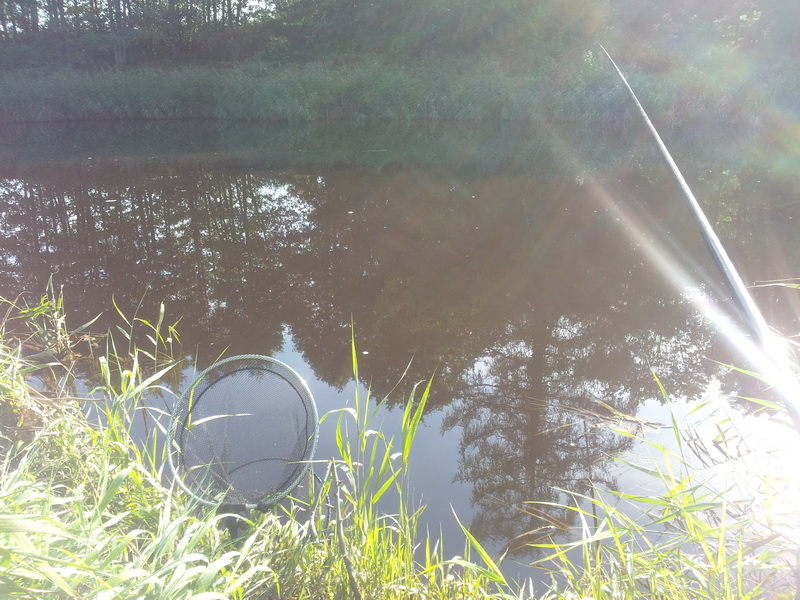 20140906_101434.jpg