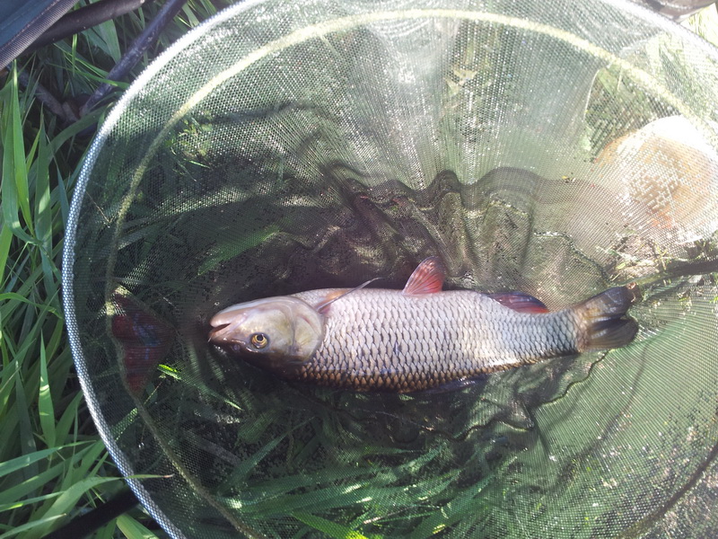 20140906_110512.jpg
