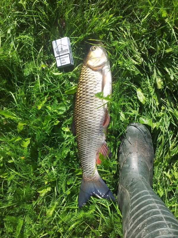 20140906_110717.jpg