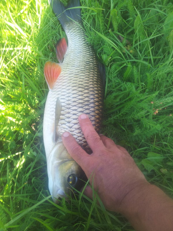 20140906_172007.jpg