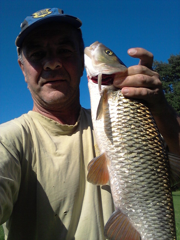 20140906_110831.jpg