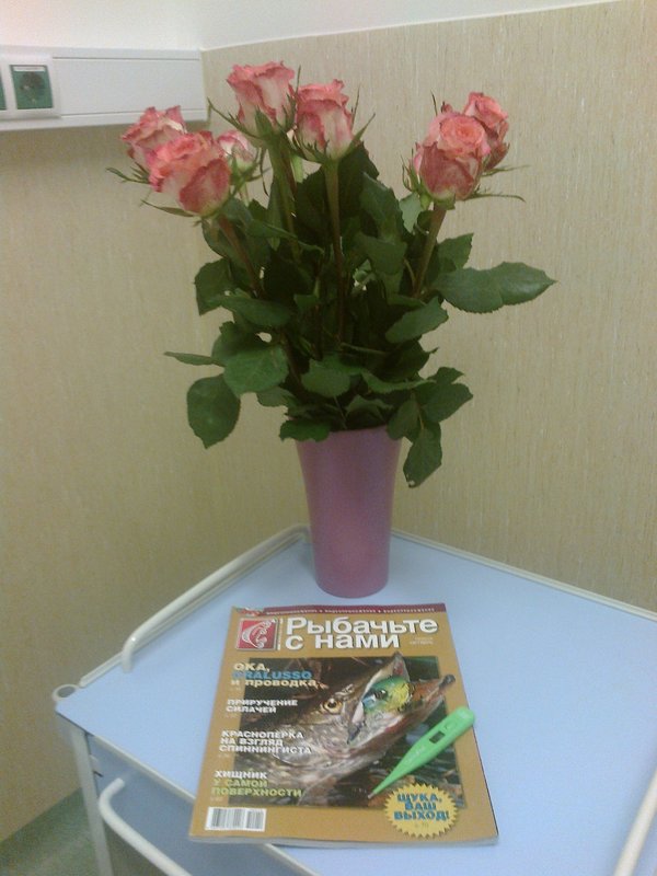 11.jpg (570.1 КБ) 2295 просмотров 11.09.2014, хирургическое отделение