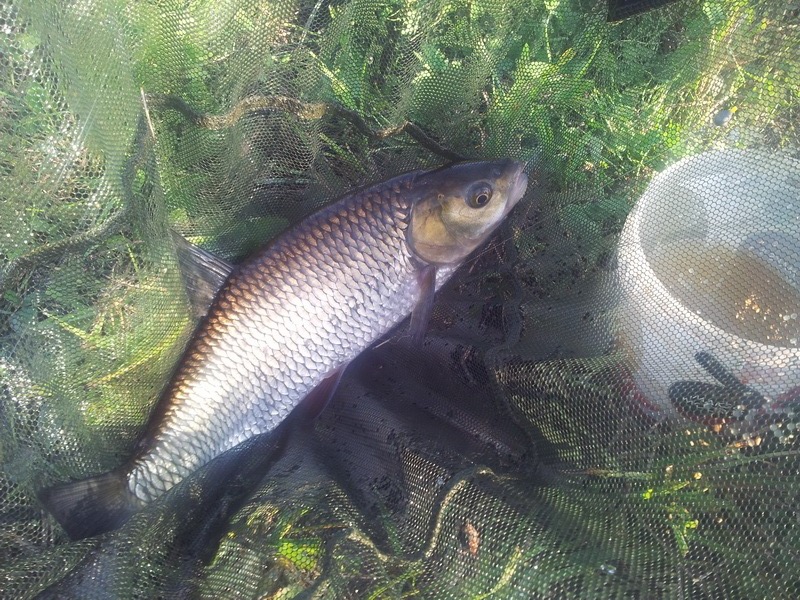 20140920_170444.jpg