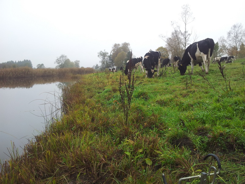 20141004_094638.jpg