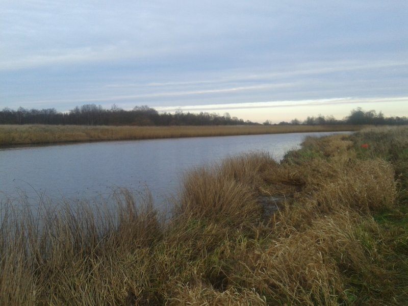 20141101_150008.jpg