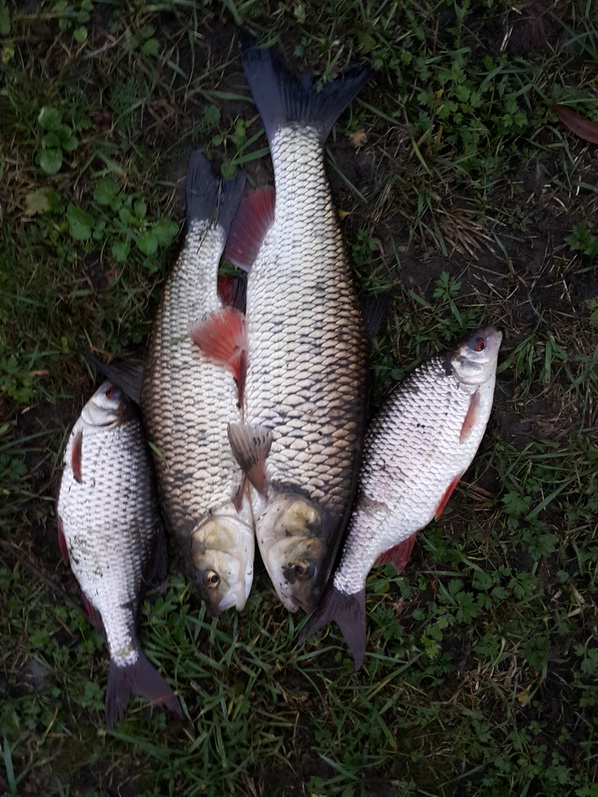 20141108_153934.jpg