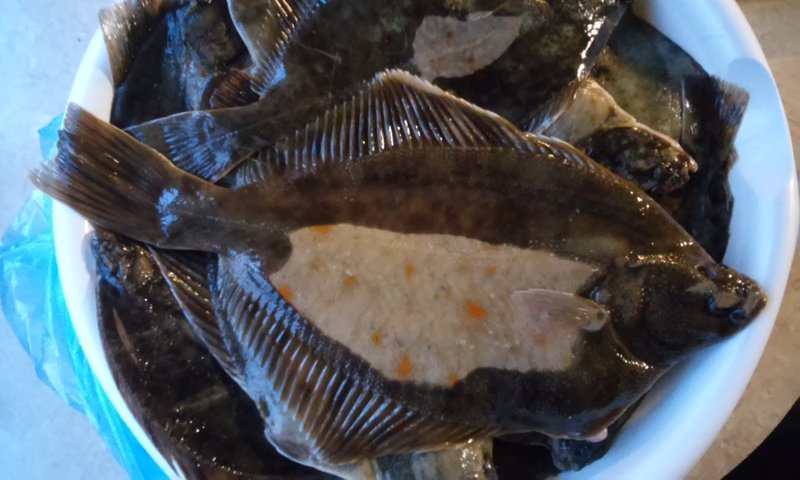 20141101_075917.jpg