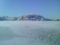 IMG_20141130_115132.jpg