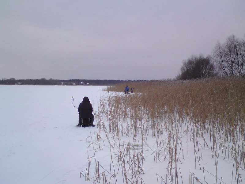 DSC01295.JPG
