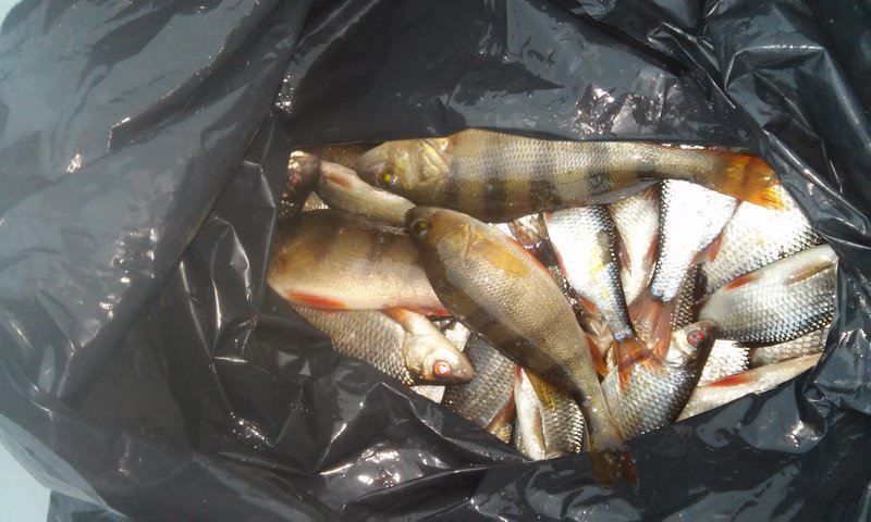 20150115_152828.jpg