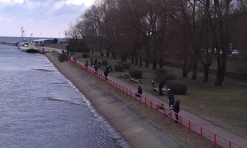 IMAG0358.jpg