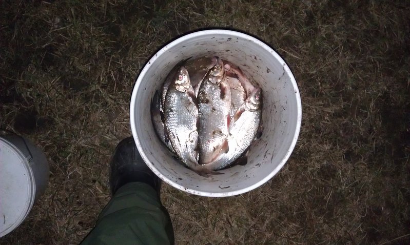 IMAG0501.jpg