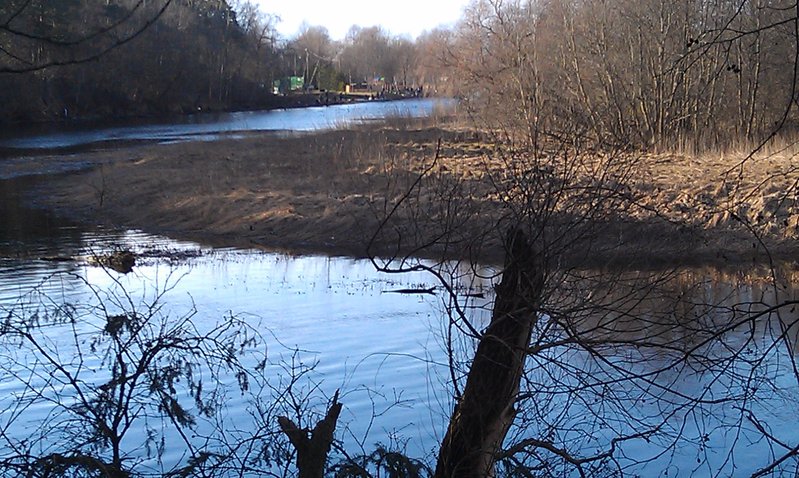 IMAG0484.jpg