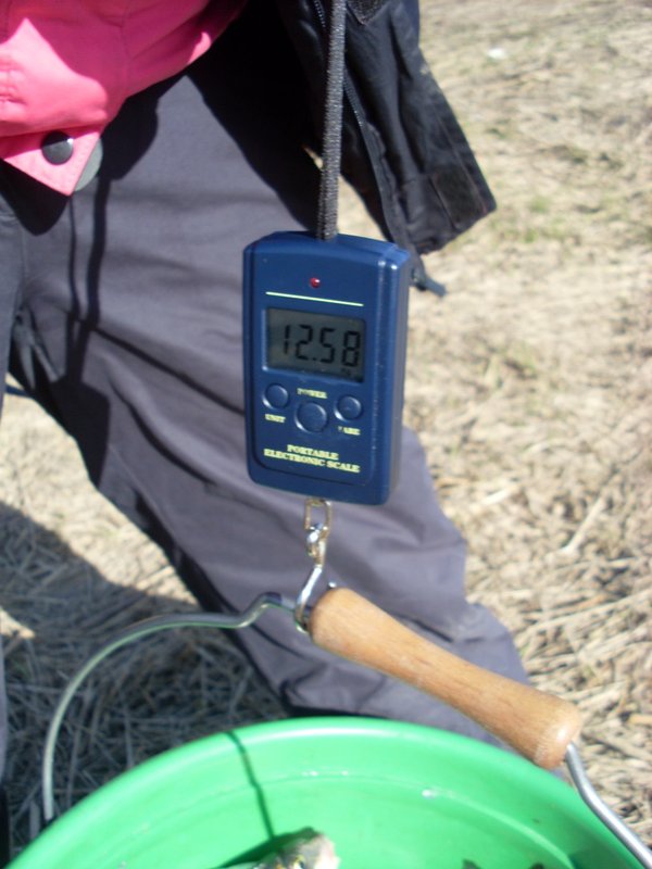 SL381483.JPG