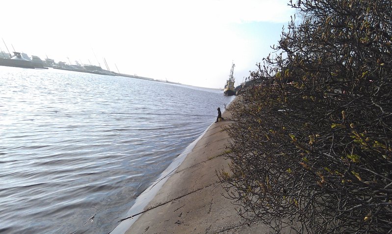 IMAG0525.jpg