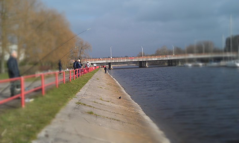 IMAG0529.jpg