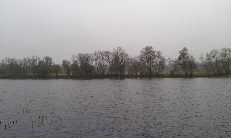 IMAG0538.jpg