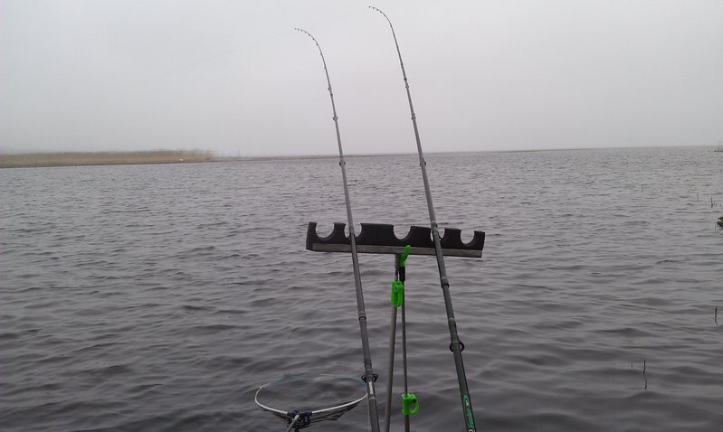 IMAG0536.jpg