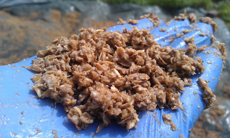 IMAG0558.jpg