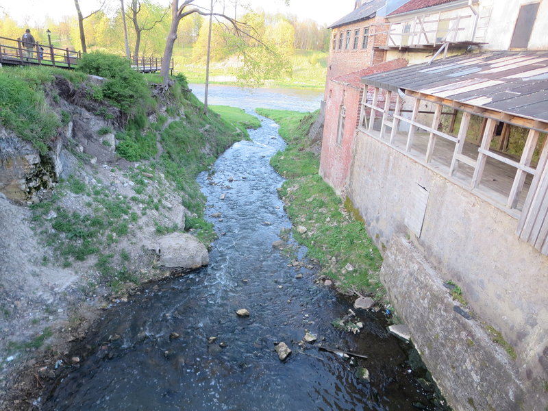 IMG_7869.jpg