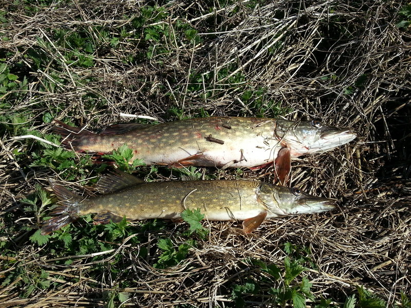 20150516_160813.jpg