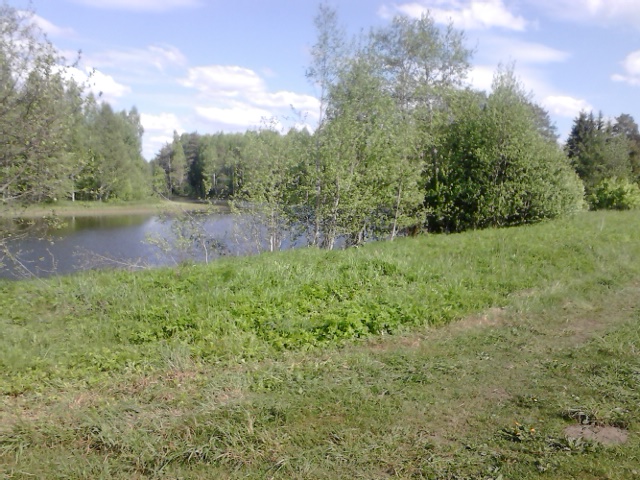 Kaunissaare