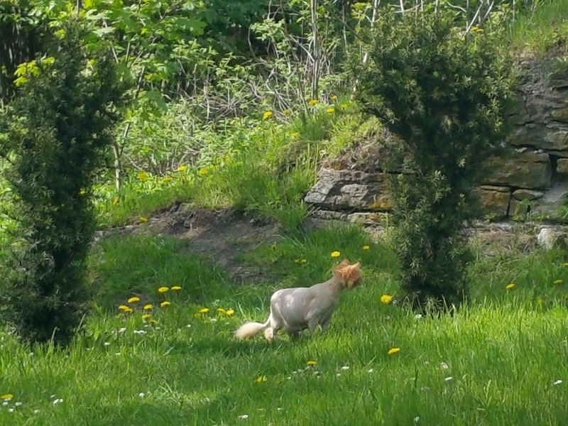 20150524_155814.jpg