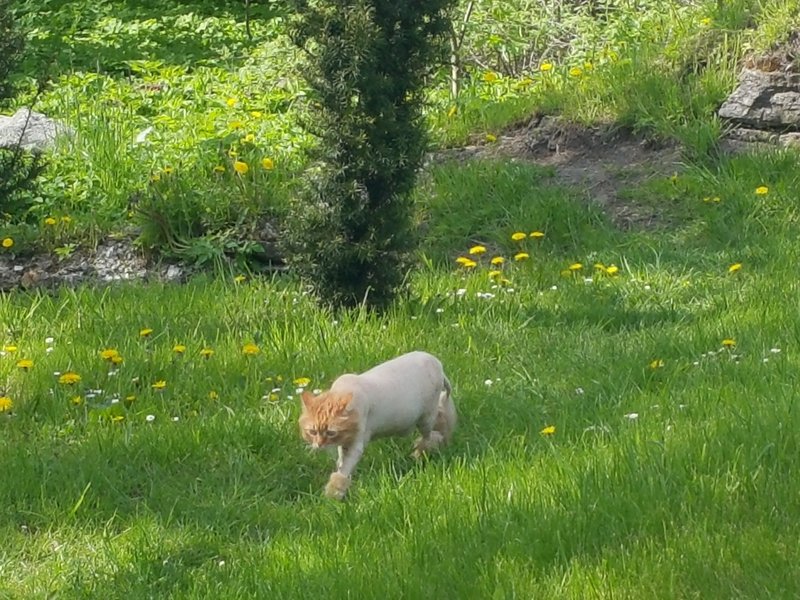 20150524_155820.jpg