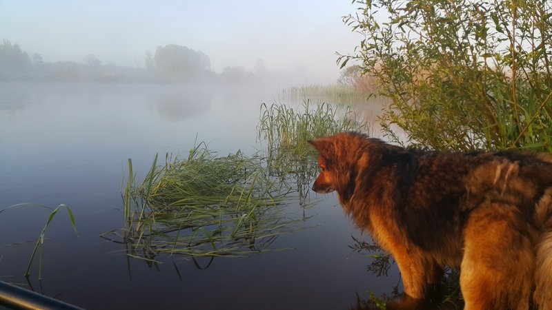 20150530_051808.jpg